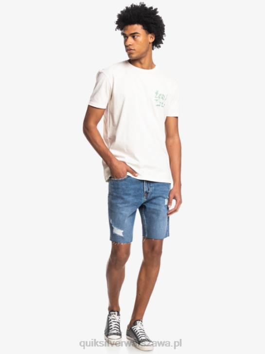 mężczyźni Quiksilver koszulka z ukrytą wiadomością 4DBV1762 brzozowy