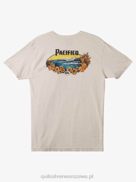 mężczyźni Quiksilver x Pacifico T-shirt z klimatem scenicznym 4DBV9 kamień