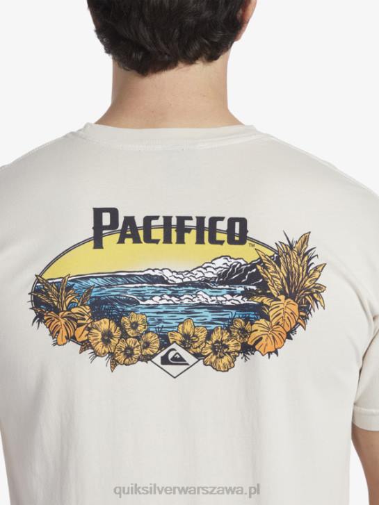 mężczyźni Quiksilver x Pacifico T-shirt z klimatem scenicznym 4DBV9 kamień