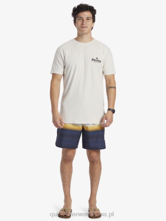 mężczyźni Quiksilver x Pacifico T-shirt z klimatem scenicznym 4DBV9 kamień