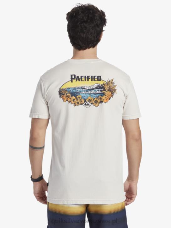 mężczyźni Quiksilver x Pacifico T-shirt z klimatem scenicznym 4DBV9 kamień
