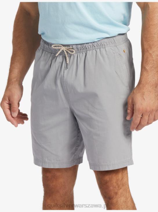 mężczyźni Quiksilver Waterman Last Light elastyczne 19 szorty 4DBV254 skóra rekina
