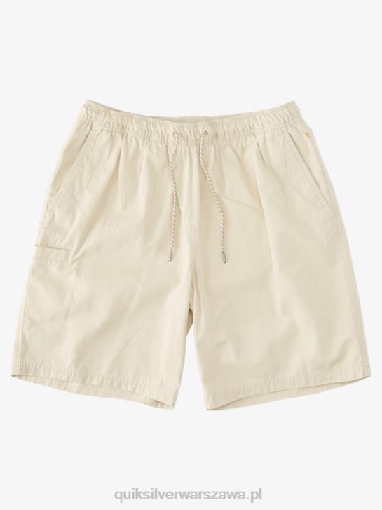 mężczyźni Quiksilver Waterman Last Light elastyczne 19 szorty 4DBV255 brązowy ryż