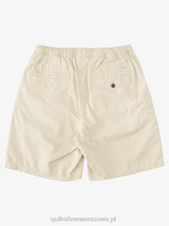 mężczyźni Quiksilver Waterman Last Light elastyczne 19 szorty 4DBV255 brązowy ryż