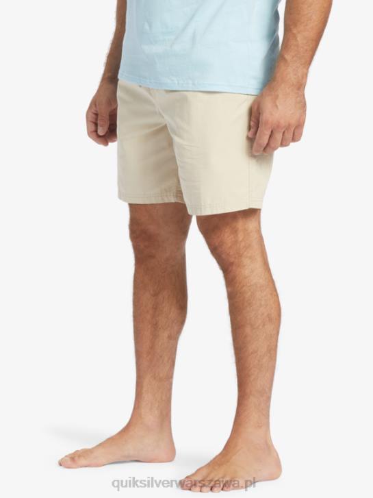 mężczyźni Quiksilver Waterman Last Light elastyczne 19 szorty 4DBV255 brązowy ryż