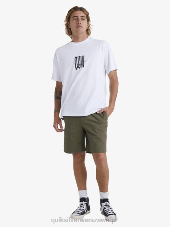 mężczyźni Quiksilver Waterman po szortach do surfowania 4DBV1579 zakurzona oliwka