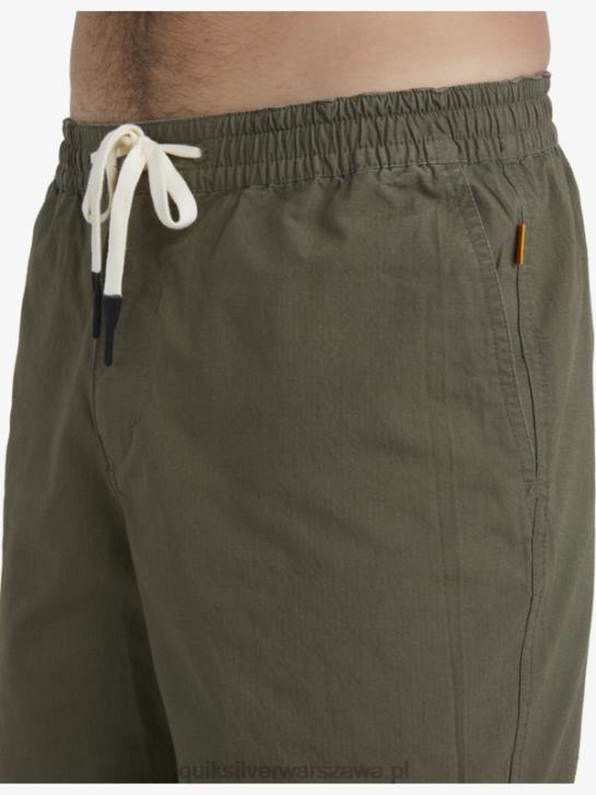 mężczyźni Quiksilver Waterman po szortach do surfowania 4DBV1579 zakurzona oliwka
