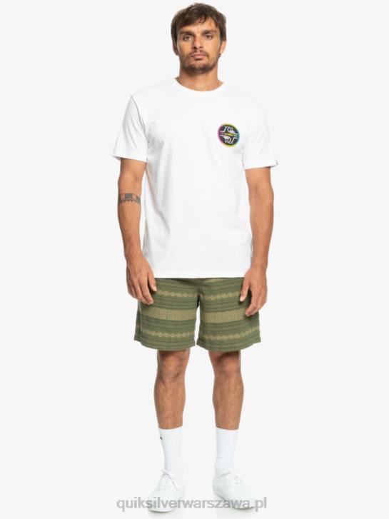 mężczyźni Quiksilver Żakardowe szorty Taxer 4DBV422 czterolistna koniczyna Taxer żakard
