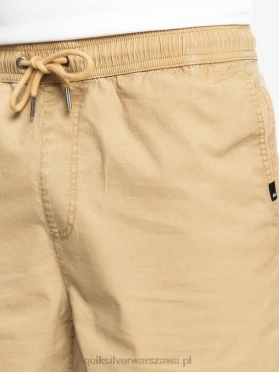 mężczyźni Quiksilver elastyczne szorty Taxer 4DBV320 plac