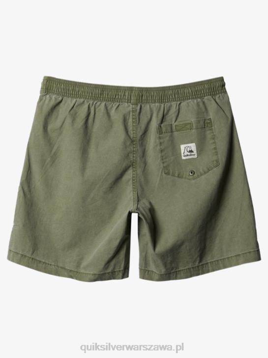 mężczyźni Quiksilver szorty z elastyczną talią Taxer 17 4DBV1380 czterolistna koniczyna