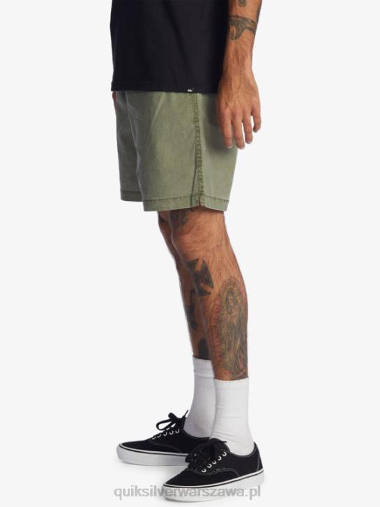 mężczyźni Quiksilver szorty z elastyczną talią Taxer 17 4DBV1380 czterolistna koniczyna