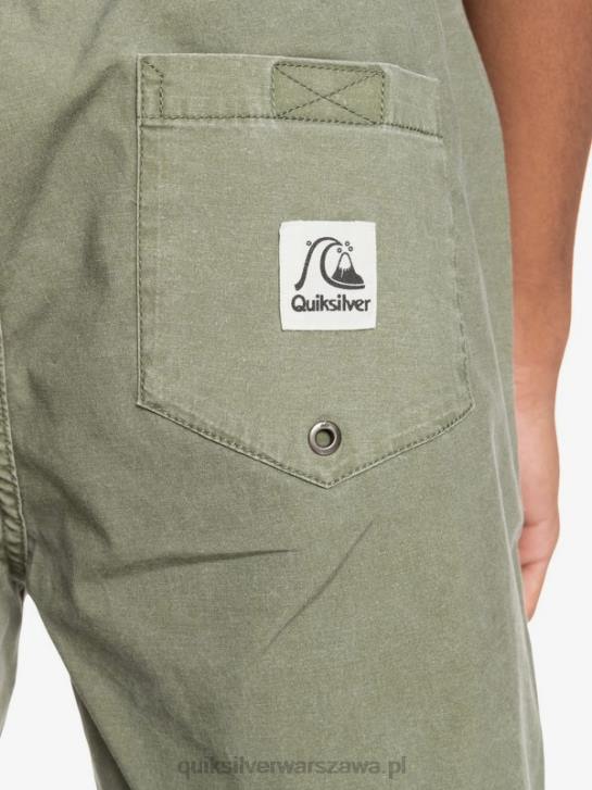 mężczyźni Quiksilver szorty z elastyczną talią Taxer 17 4DBV1380 czterolistna koniczyna