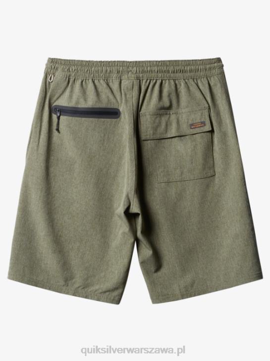 mężczyźni Quiksilver Waterman Suva 20 Amphibian Boardshorty 4DBV783 czterolistna koniczyna wrzosowa