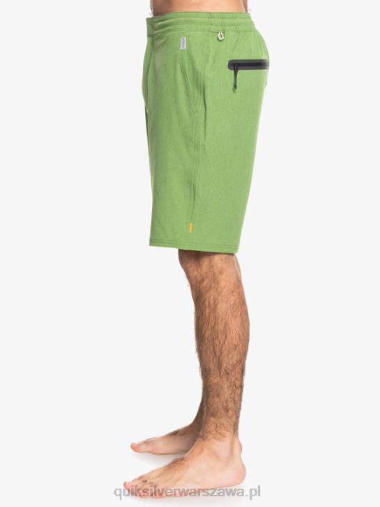 mężczyźni Quiksilver Waterman Suva 20 Amphibian Boardshorty 4DBV783 czterolistna koniczyna wrzosowa