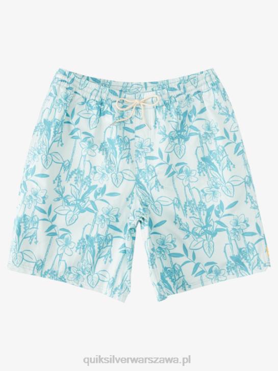 mężczyźni Quiksilver Waterman luźne drogi 17 wolejów 4DBV939 subtelny zielony looseways vy