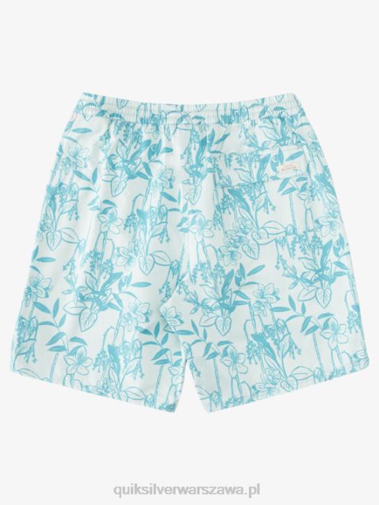 mężczyźni Quiksilver Waterman luźne drogi 17 wolejów 4DBV939 subtelny zielony looseways vy