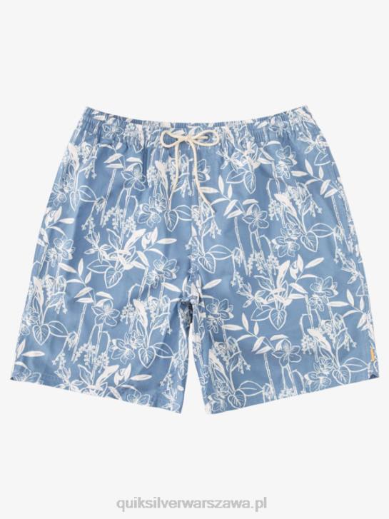 mężczyźni Quiksilver Waterman luźne drogi 17 wolejów 4DBV940 chorąży niebieski luźne sposoby vy