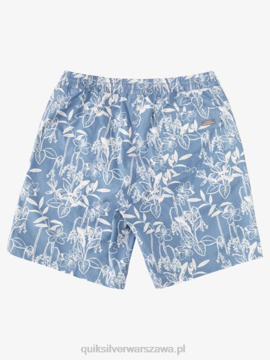 mężczyźni Quiksilver Waterman luźne drogi 17 wolejów 4DBV940 chorąży niebieski luźne sposoby vy