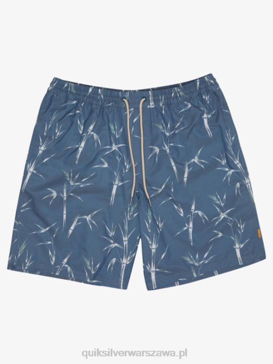 mężczyźni Quiksilver Waterman wstępnie pałeczkami 19 salw 4DBV1841 chorąży niebieski prechopstick obj
