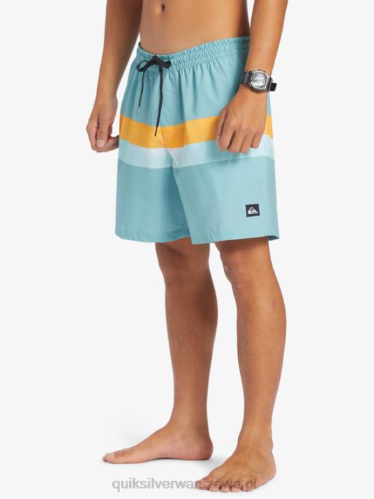 mężczyźni Quiksilver aerograf surfsilk 17 salw 4DBV655 kamea niebieski