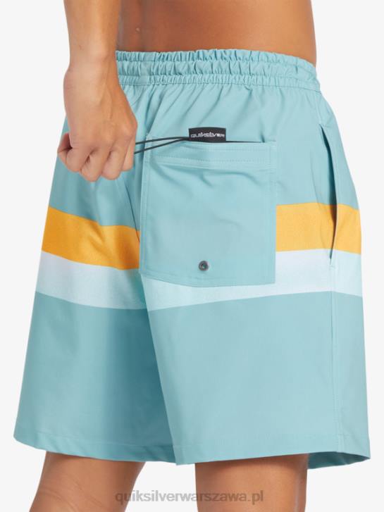 mężczyźni Quiksilver aerograf surfsilk 17 salw 4DBV655 kamea niebieski