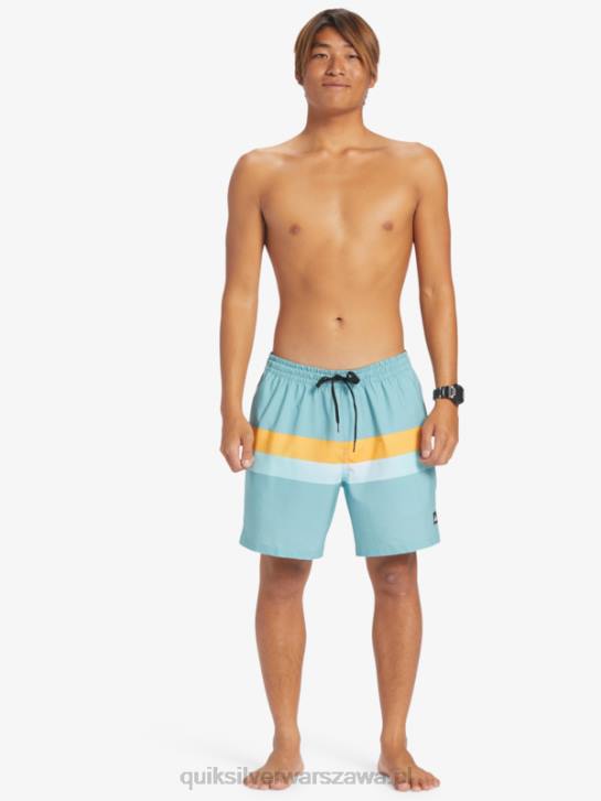 mężczyźni Quiksilver aerograf surfsilk 17 salw 4DBV655 kamea niebieski
