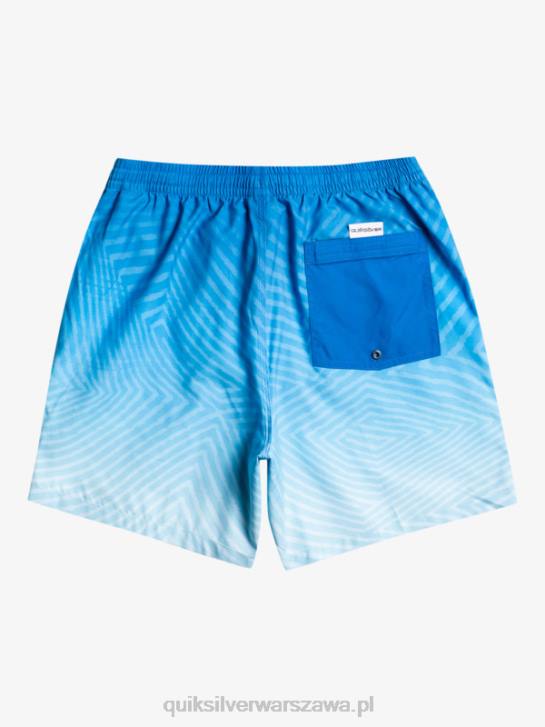 mężczyźni Quiksilver codzienne wypaczone logo 17 salw 4DBV1178 nurkowanie w kolorze niebieskim