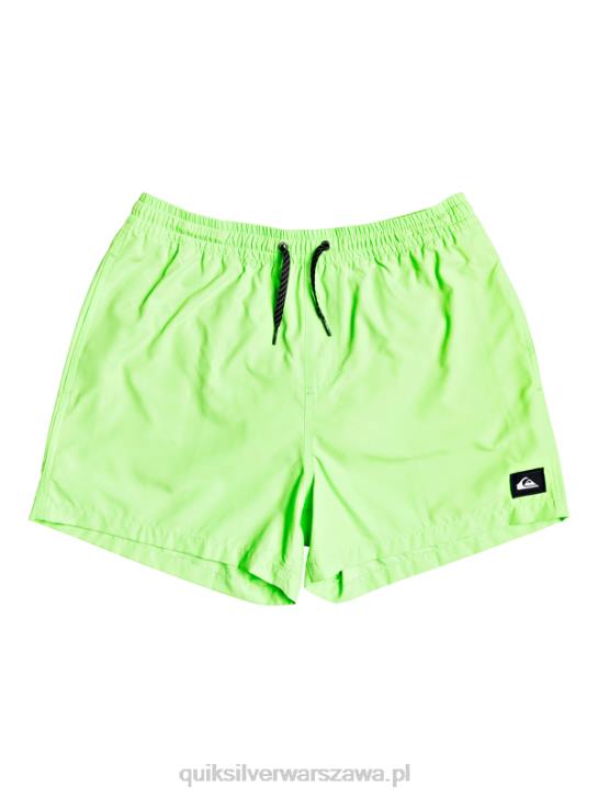 mężczyźni Quiksilver codziennie 15 salw 4DBV460 zielony gekon