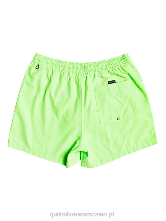 mężczyźni Quiksilver codziennie 15 salw 4DBV460 zielony gekon