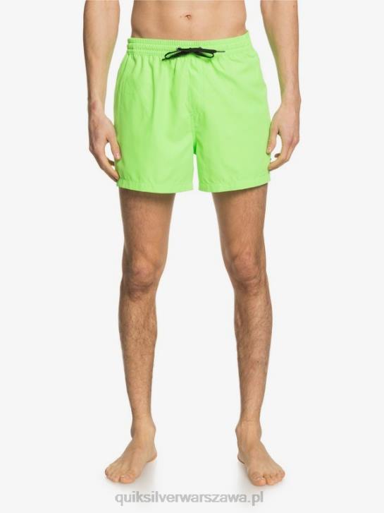 mężczyźni Quiksilver codziennie 15 salw 4DBV460 zielony gekon