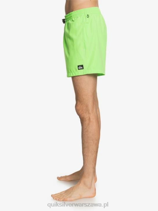 mężczyźni Quiksilver codziennie 15 salw 4DBV460 zielony gekon