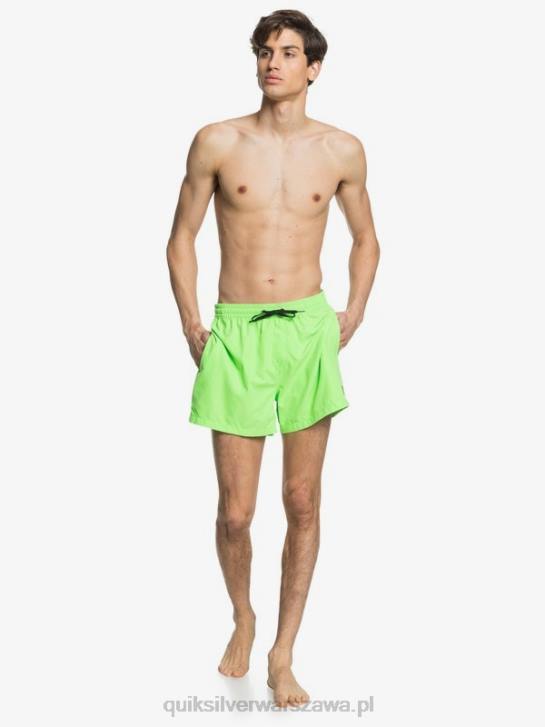 mężczyźni Quiksilver codziennie 15 salw 4DBV460 zielony gekon