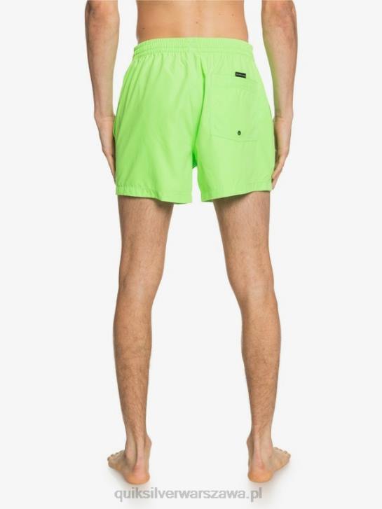 mężczyźni Quiksilver codziennie 15 salw 4DBV460 zielony gekon