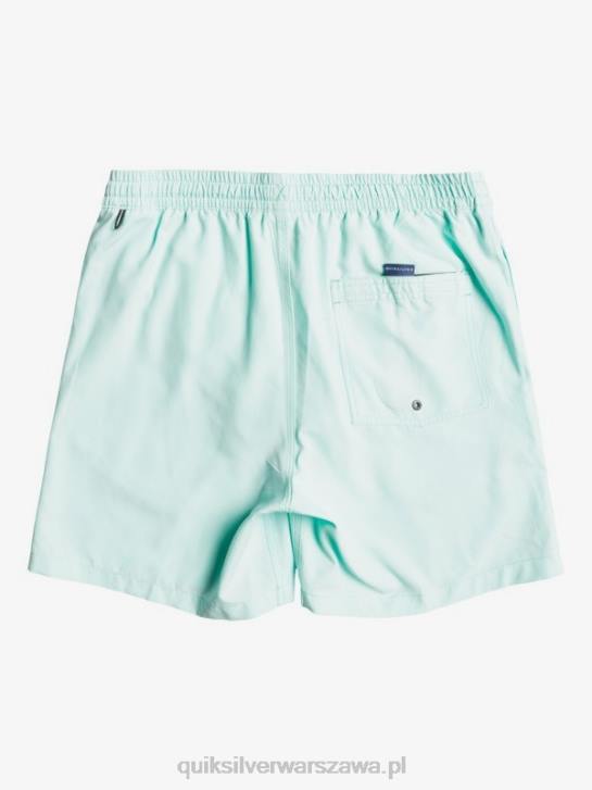 mężczyźni Quiksilver codziennie 17 salw 4DBV1529 niebieskie światło