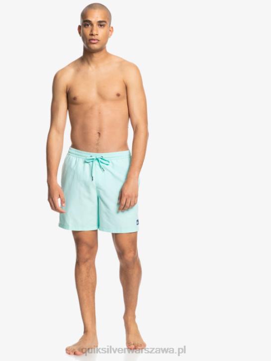 mężczyźni Quiksilver codziennie 17 salw 4DBV1529 niebieskie światło