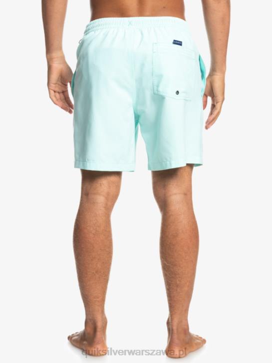 mężczyźni Quiksilver codziennie 17 salw 4DBV1529 niebieskie światło