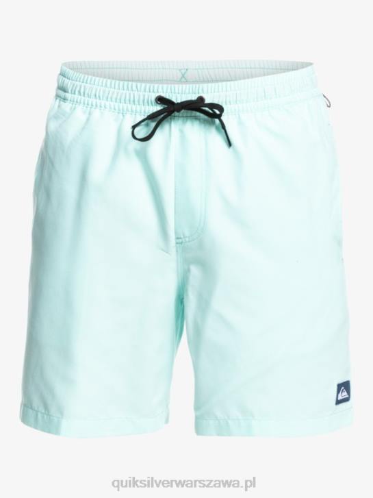mężczyźni Quiksilver codziennie 17 salw 4DBV1529 niebieskie światło