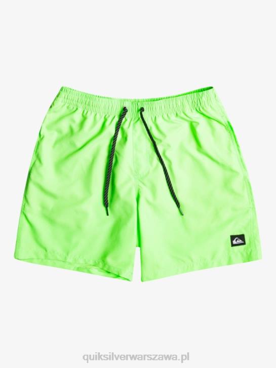 mężczyźni Quiksilver codziennie 17 salw 4DBV621 zielony gekon
