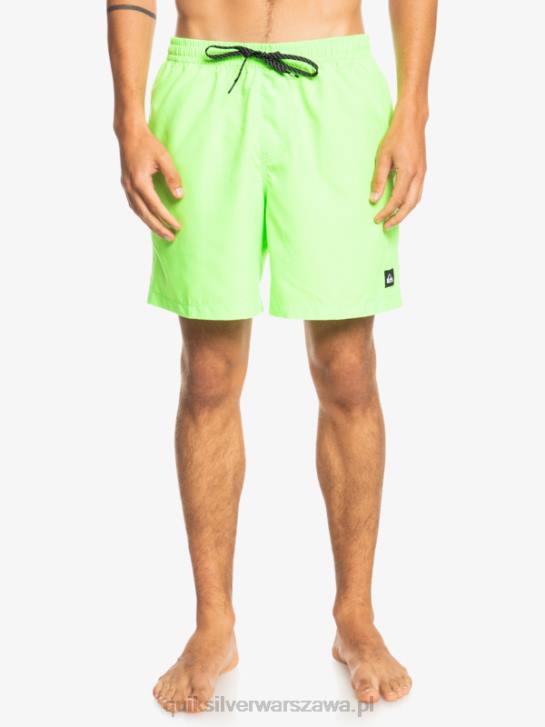 mężczyźni Quiksilver codziennie 17 salw 4DBV621 zielony gekon