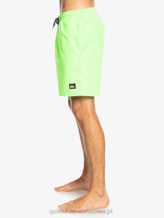 mężczyźni Quiksilver codziennie 17 salw 4DBV621 zielony gekon