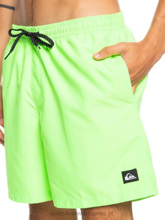 mężczyźni Quiksilver codziennie 17 salw 4DBV621 zielony gekon