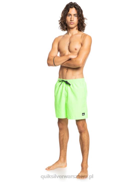 mężczyźni Quiksilver codziennie 17 salw 4DBV621 zielony gekon