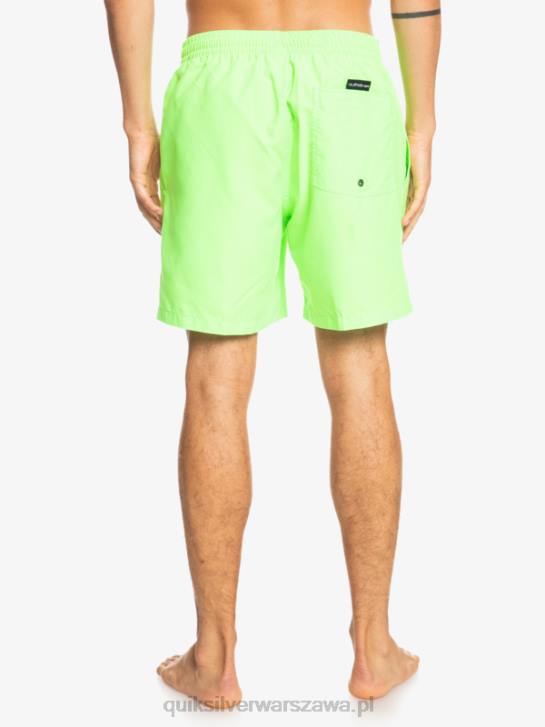 mężczyźni Quiksilver codziennie 17 salw 4DBV621 zielony gekon