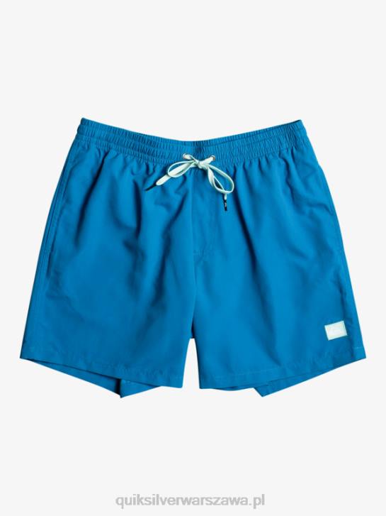 mężczyźni Quiksilver codziennie 17 salw 4DBV625 nurkowanie w kolorze niebieskim