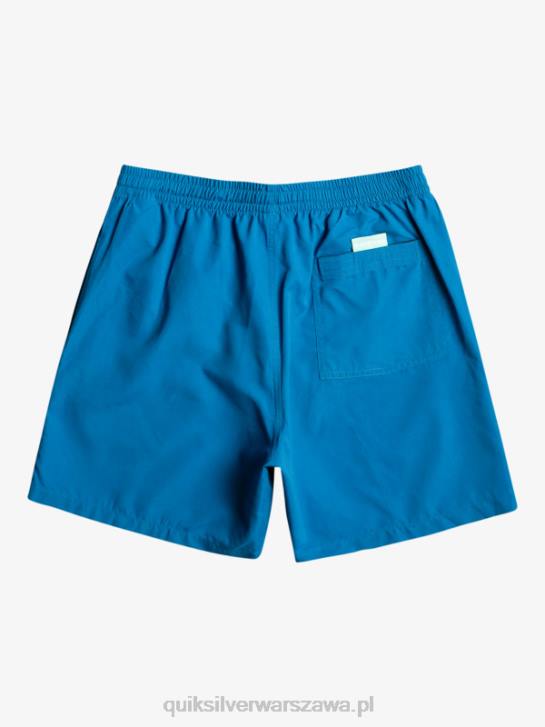 mężczyźni Quiksilver codziennie 17 salw 4DBV625 nurkowanie w kolorze niebieskim