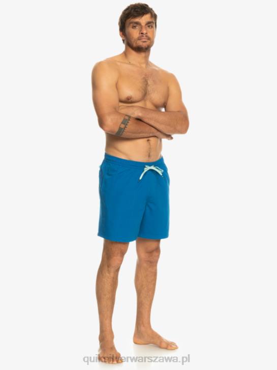 mężczyźni Quiksilver codziennie 17 salw 4DBV625 nurkowanie w kolorze niebieskim