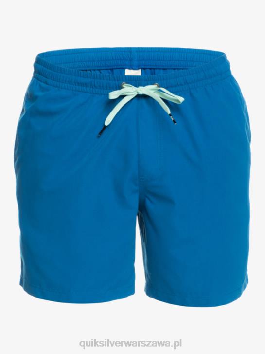 mężczyźni Quiksilver codziennie 17 salw 4DBV625 nurkowanie w kolorze niebieskim