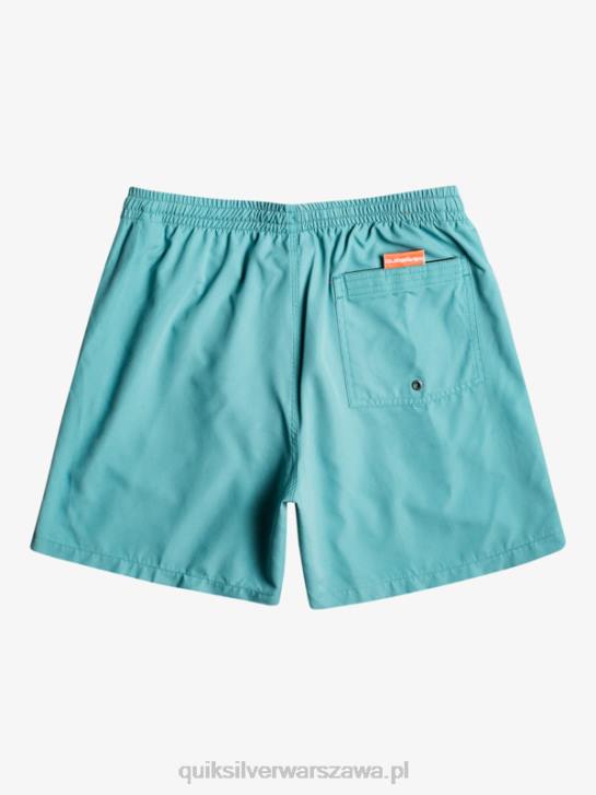 mężczyźni Quiksilver codziennie 17 salw 4DBV627 bretoński niebieski