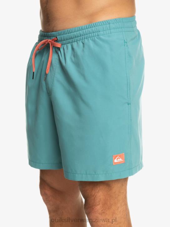 mężczyźni Quiksilver codziennie 17 salw 4DBV627 bretoński niebieski