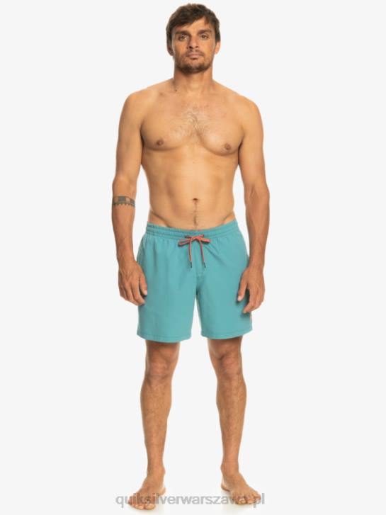 mężczyźni Quiksilver codziennie 17 salw 4DBV627 bretoński niebieski